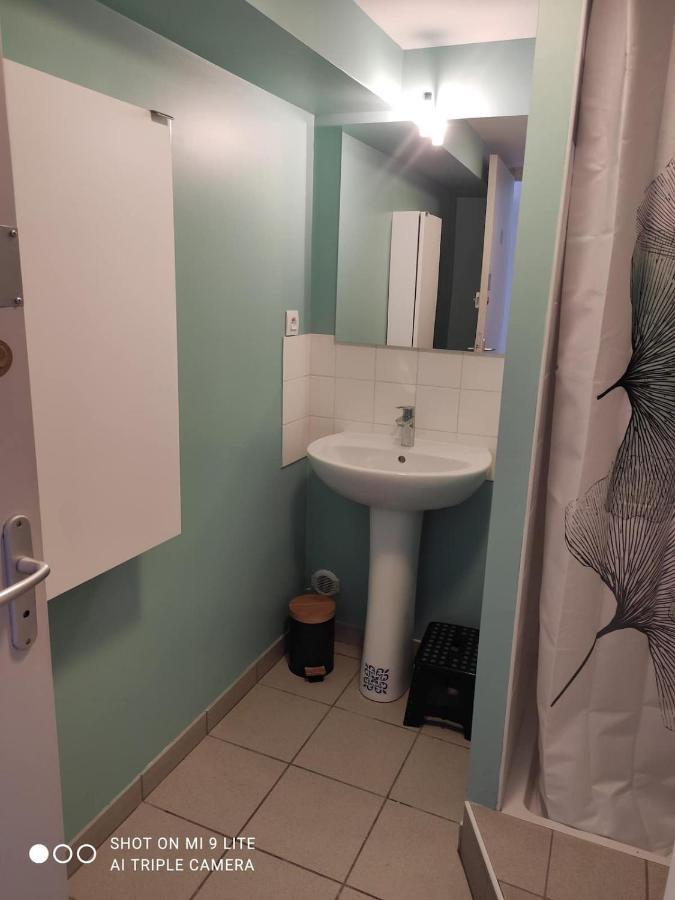 La Cahute, Appartement T2 Avec Jardin Ou Appartement Familial T6 蒙托邦 外观 照片