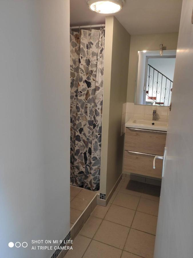 La Cahute, Appartement T2 Avec Jardin Ou Appartement Familial T6 蒙托邦 外观 照片