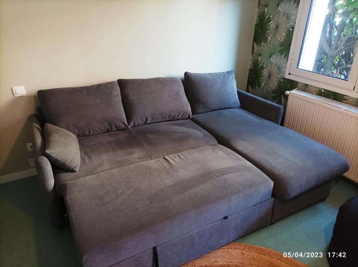La Cahute, Appartement T2 Avec Jardin Ou Appartement Familial T6 蒙托邦 外观 照片